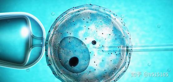 输卵管积水是否影响供卵试管婴儿成功率