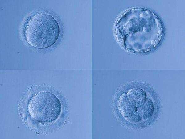 2024苏州武警特色医学中心助孕试管供卵代生医生名单（附成功率排名）